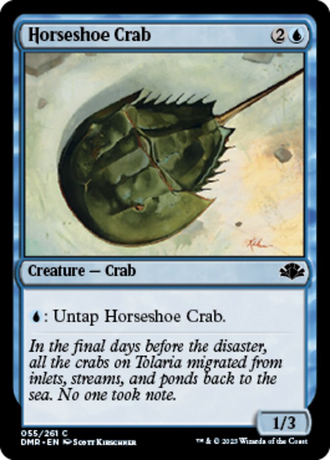 Horseshoe Crab