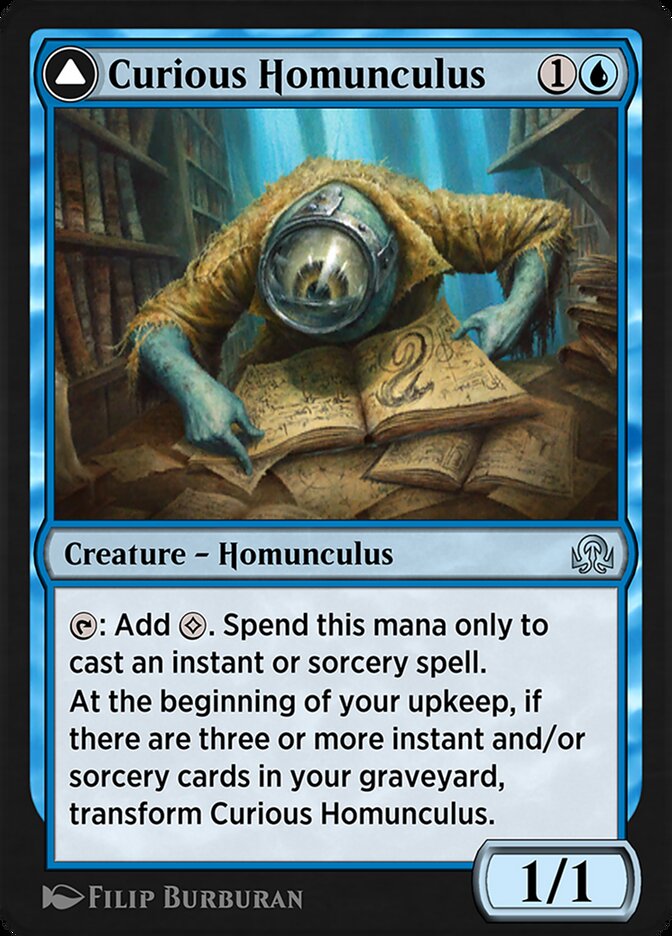 Curious Homunculus