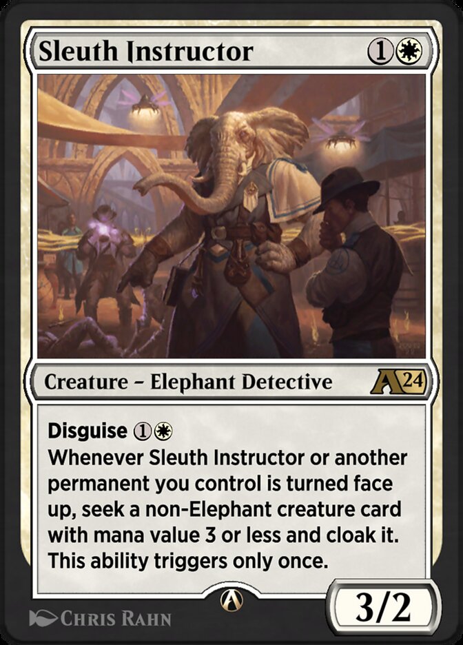 Sleuth Instructor