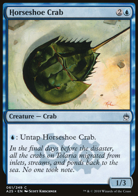 Horseshoe Crab