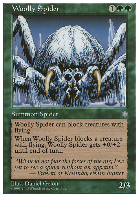 Woolly Spider