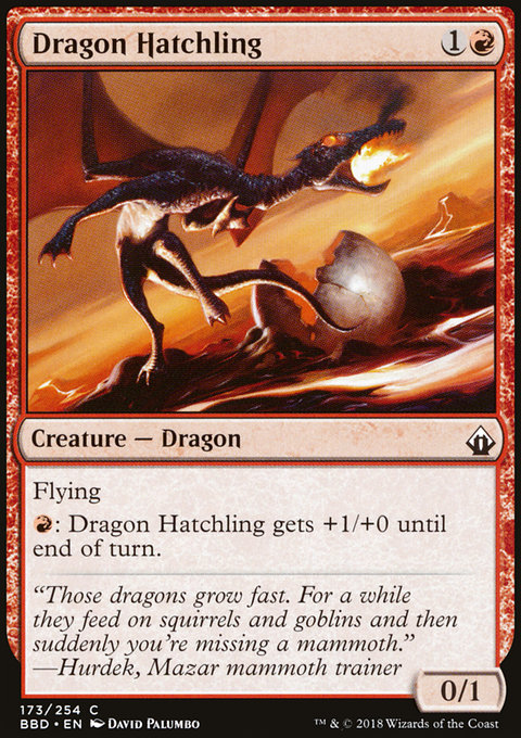 Dragon Hatchling