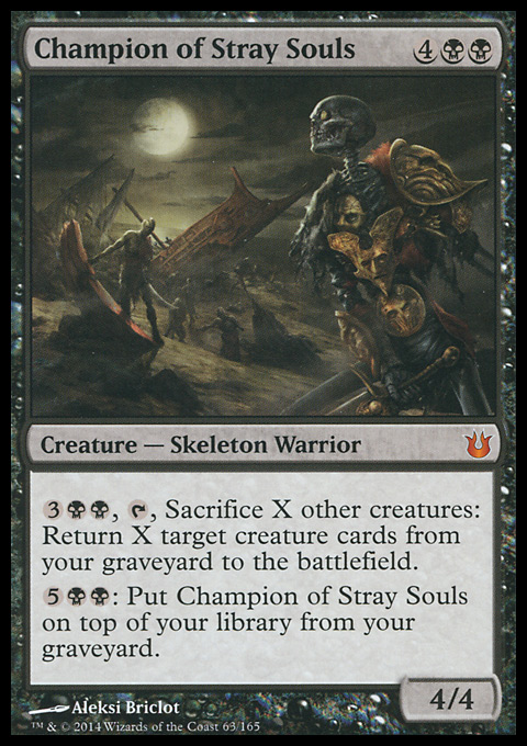 Champion of Stray Souls