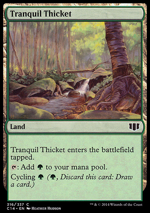 Tranquil Thicket