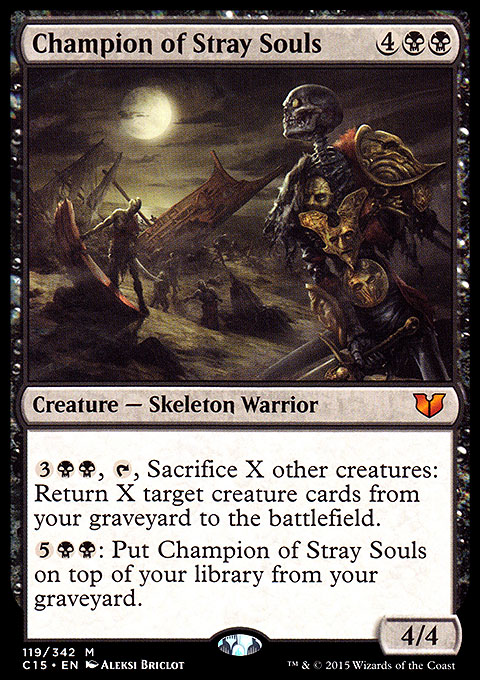 Champion of Stray Souls