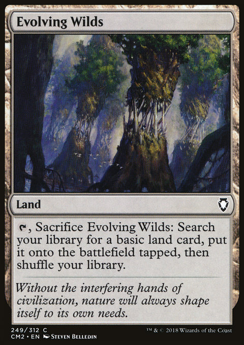 Evolving Wilds