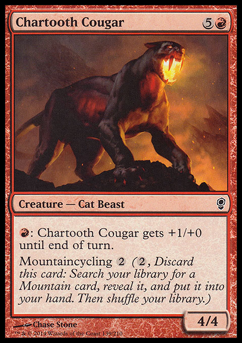 Chartooth Cougar