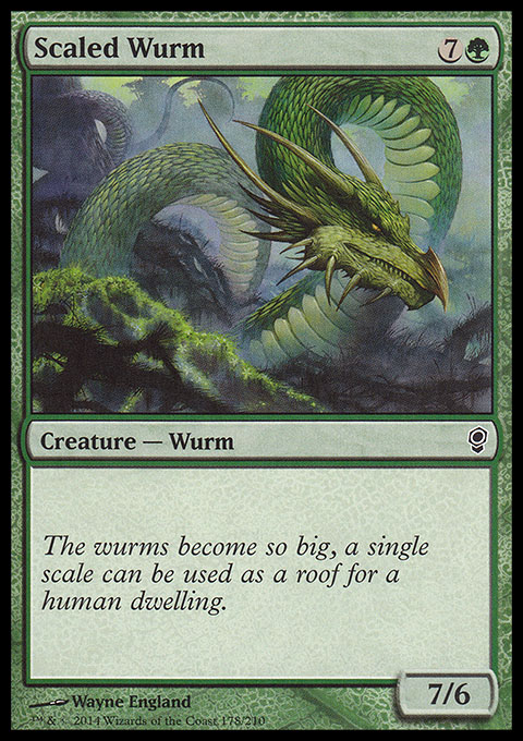 Scaled Wurm