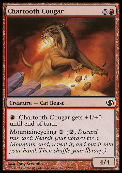 Chartooth Cougar