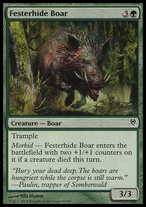 Festerhide Boar