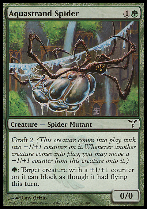 Aquastrand Spider