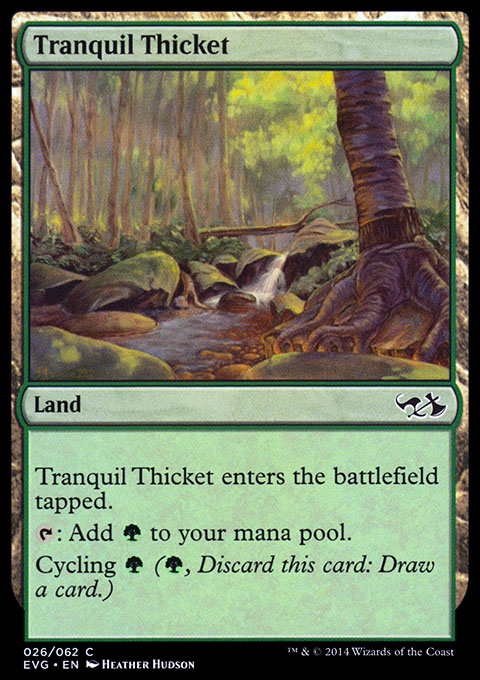 Tranquil Thicket