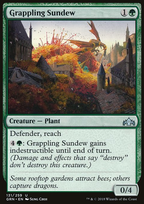 Grappling Sundew