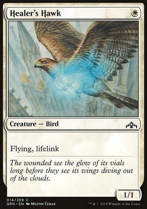 Healer's Hawk