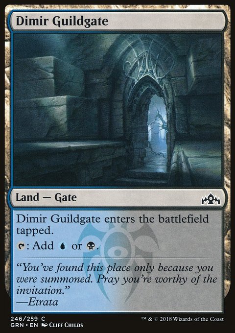 Dimir Guildgate