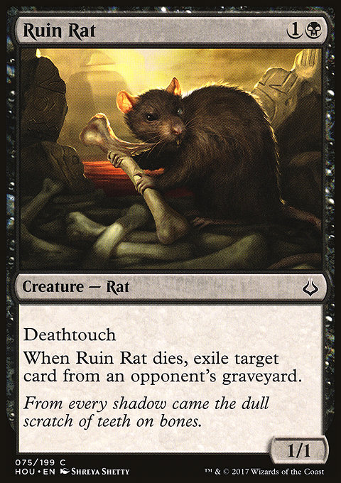 Ruin Rat