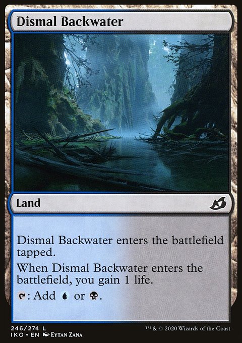 Dismal Backwater