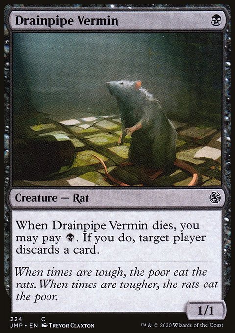 Drainpipe Vermin