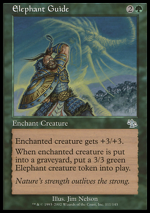 Elephant Guide