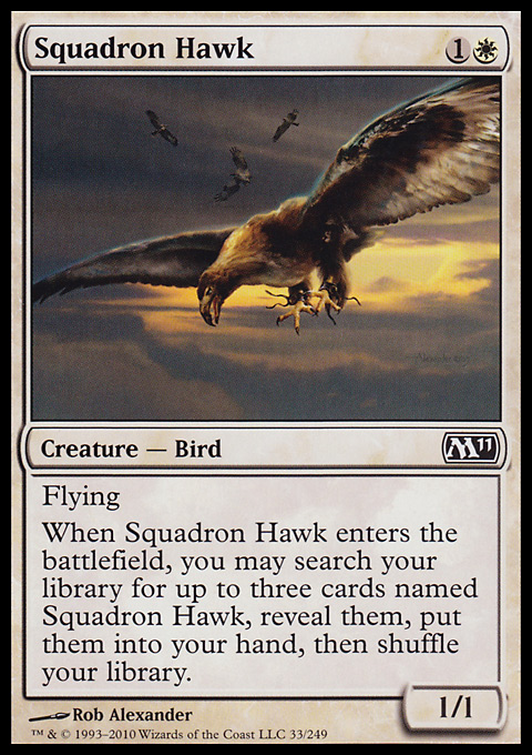 Squadron Hawk