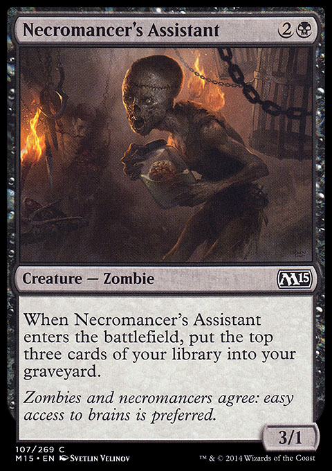 Necromancer's Assistant