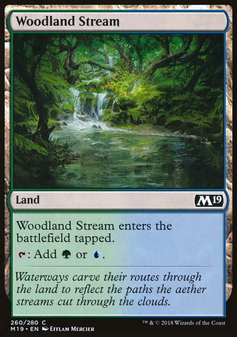 Woodland Stream