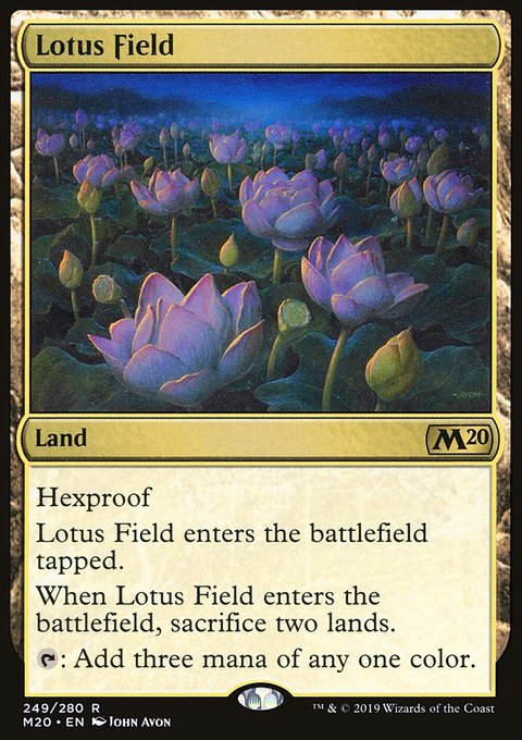 Lotus Field