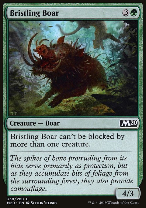 Bristling Boar