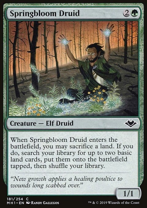 Springbloom Druid