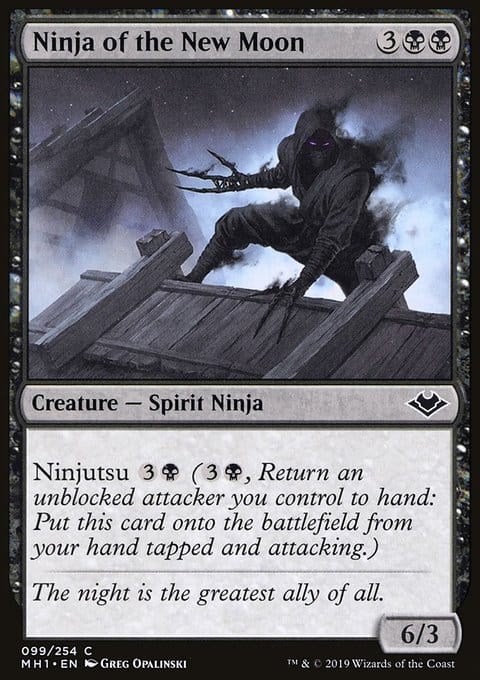 Ninja of the New Moon