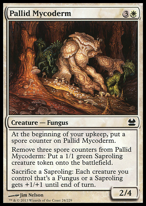 Pallid Mycoderm