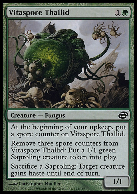 Vitaspore Thallid