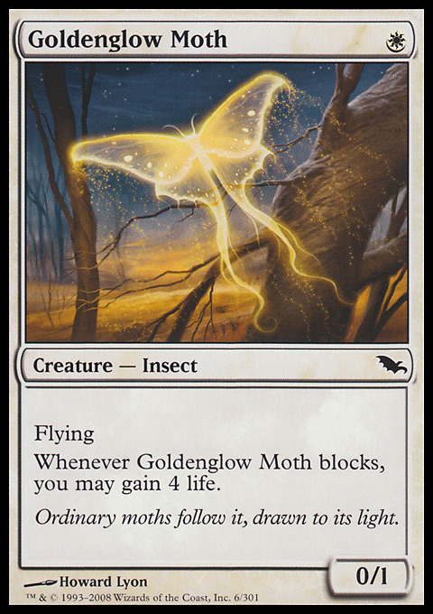 Goldenglow Moth