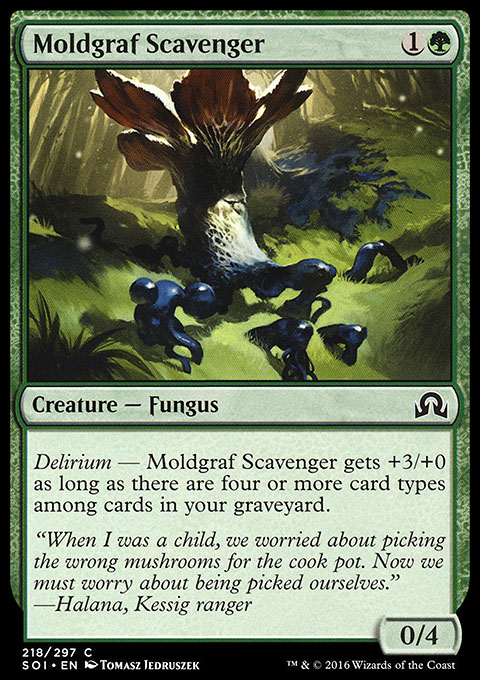 Moldgraf Scavenger