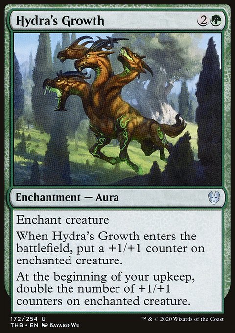 Hydra's Growth