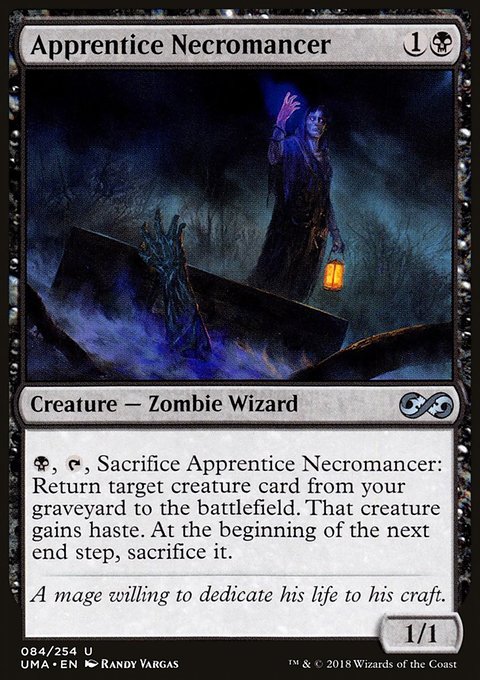 Apprentice Necromancer