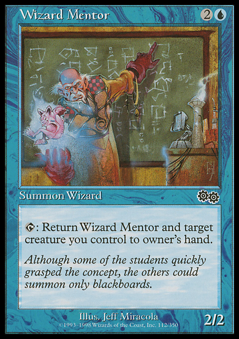 Wizard Mentor