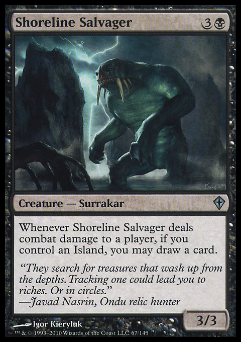 Shoreline Salvager