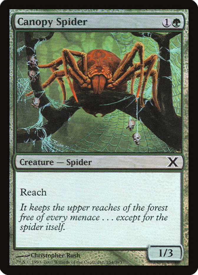 Canopy Spider