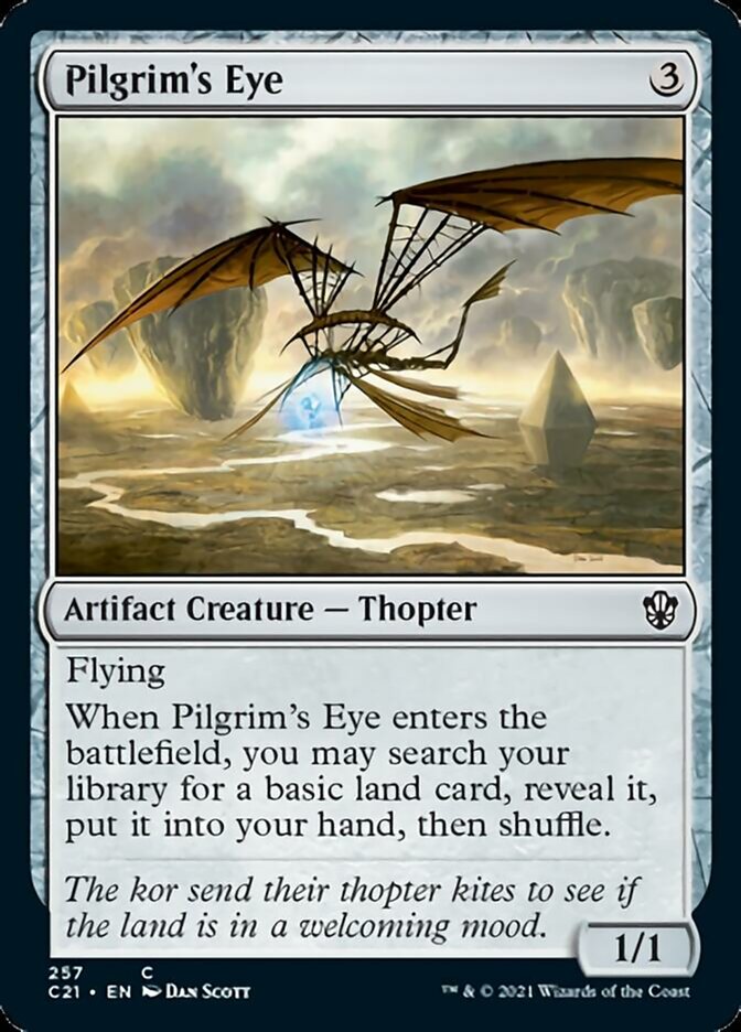 Pilgrim's Eye