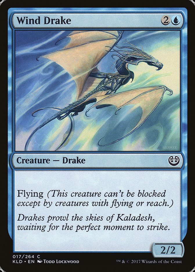 Wind Drake