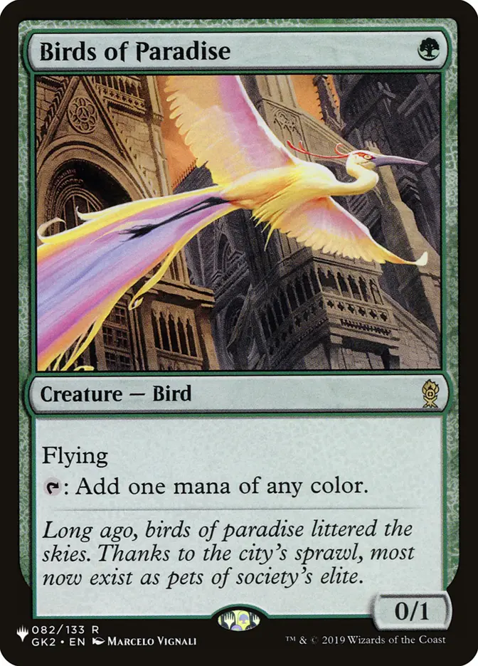 Birds of Paradise