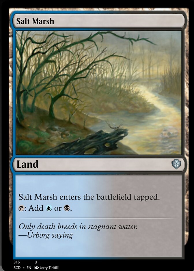 Salt Marsh