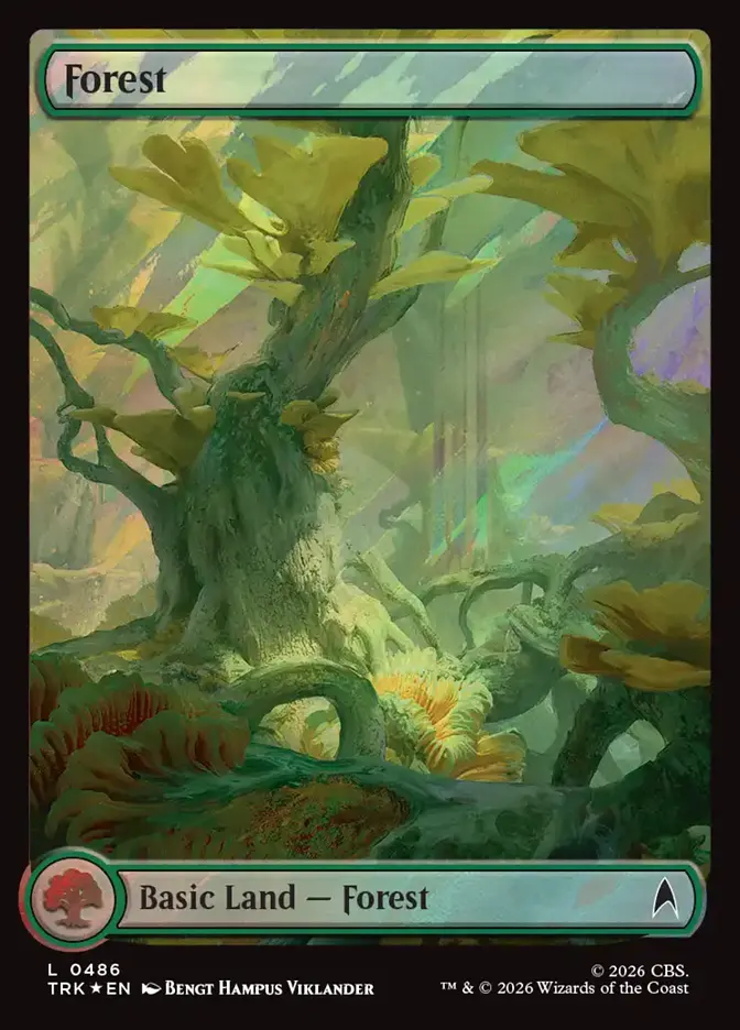 Forest