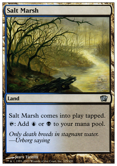 Salt Marsh