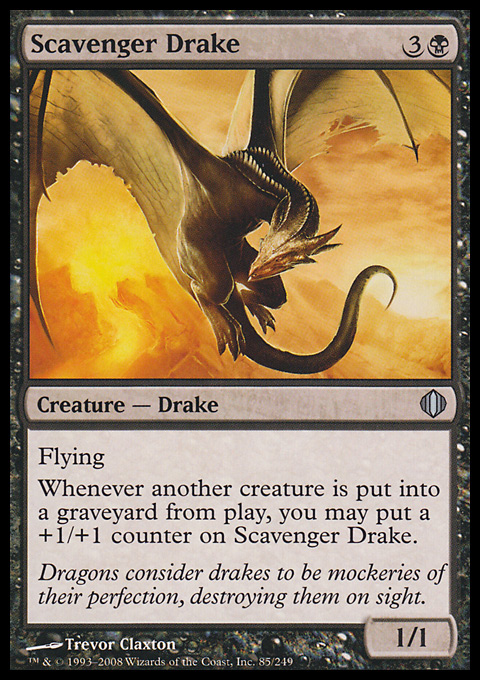 Scavenger Drake