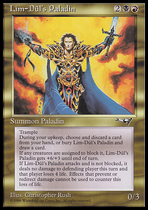 Lim-Dûl's Paladin