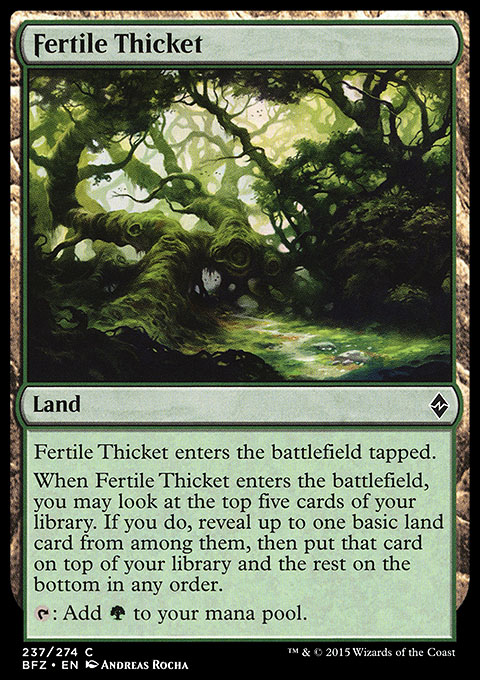 Fertile Thicket