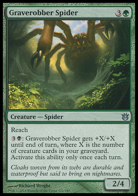 Graverobber Spider