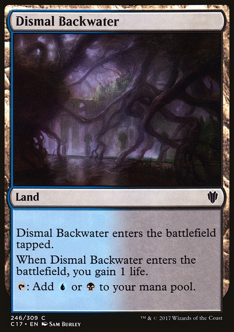 Dismal Backwater